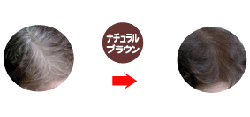 �ʥ�����֥饦��