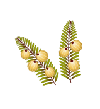 �����